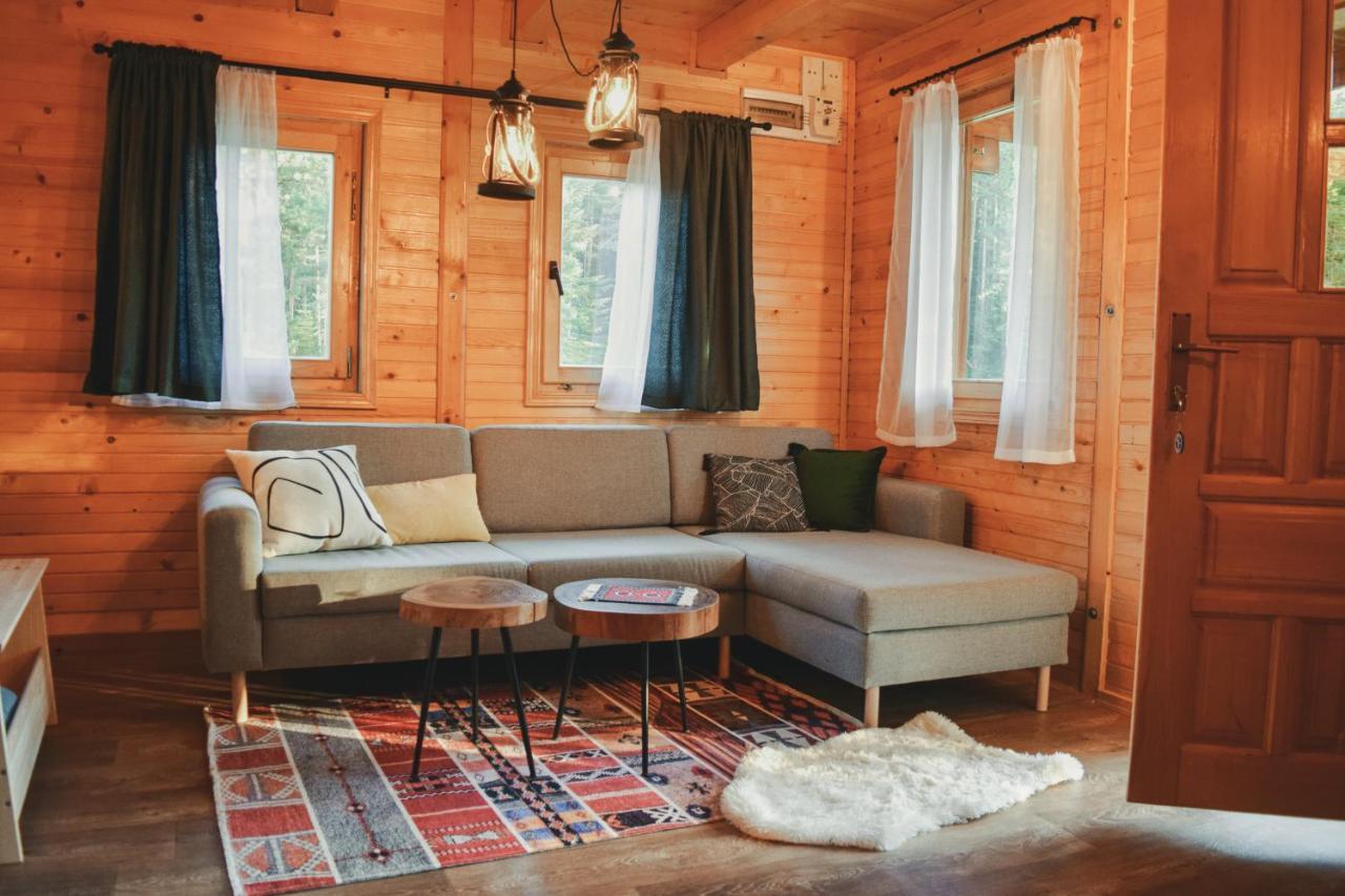 Holiday Home Aster Zabljak  Luaran gambar