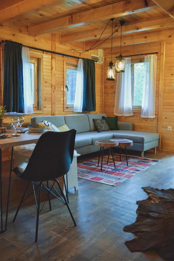 Holiday Home Aster Zabljak  Luaran gambar