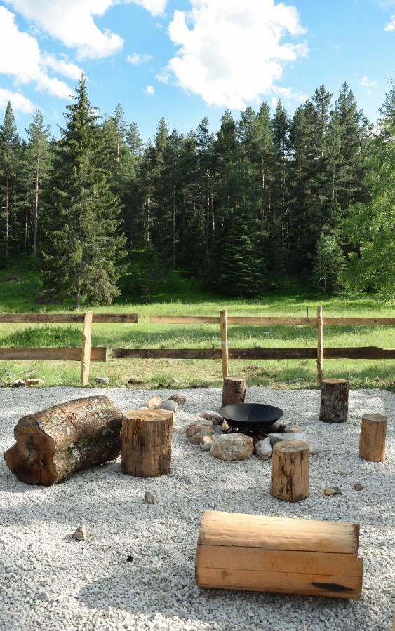 Holiday Home Aster Zabljak  Luaran gambar