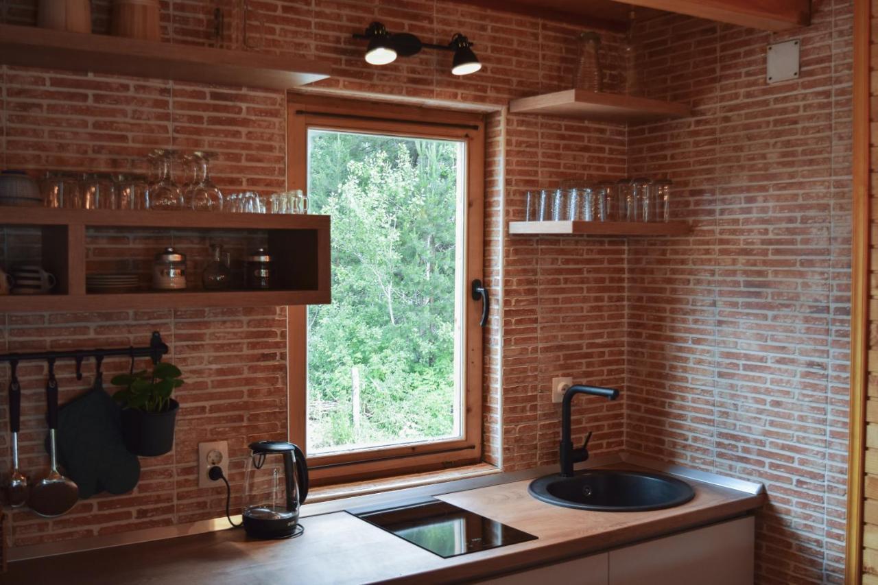 Holiday Home Aster Zabljak  Luaran gambar